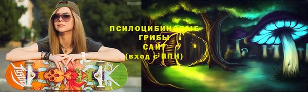амф Абинск