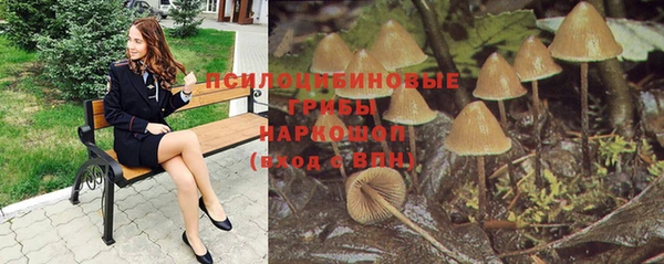 амф Абинск