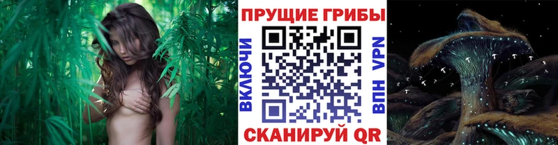 Галлюциногенные грибы мицелий наркота Кировград